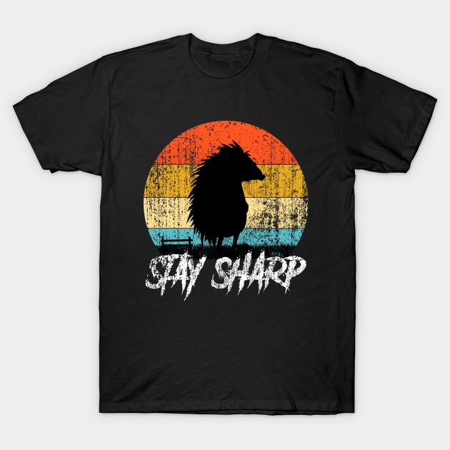 Hedgehog Stay Sharp Vintage T-Shirt by UranusArts